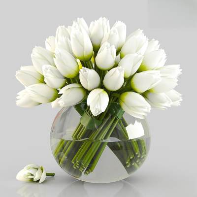 现代花艺 郁金香花